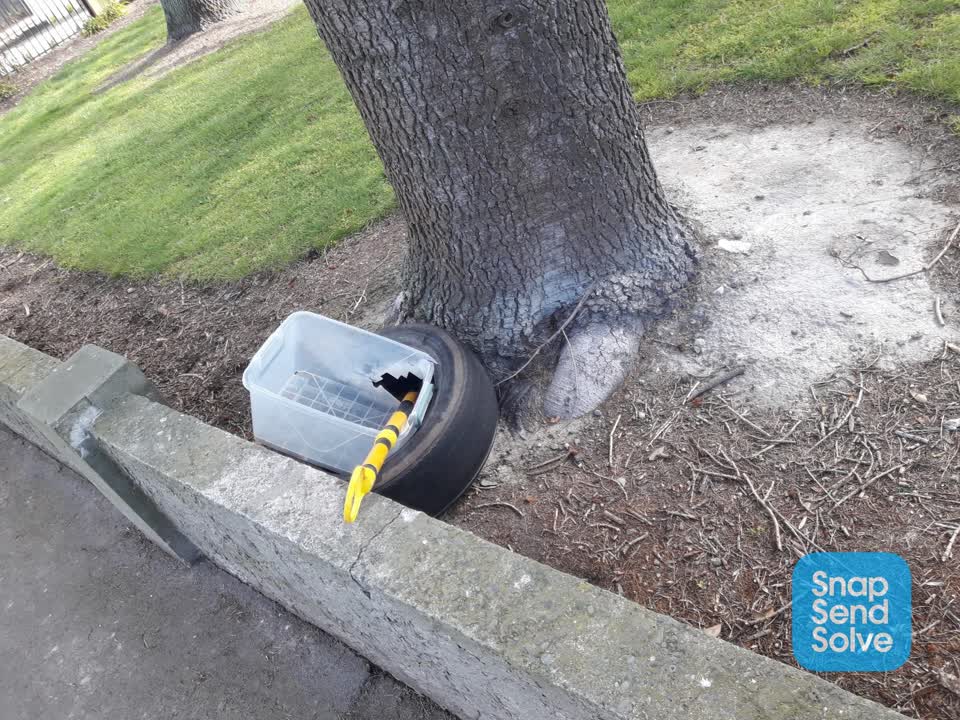 The photograph attached to this dumped rubbish report