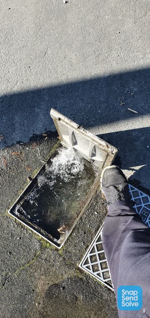 Water Leak, a report photo
