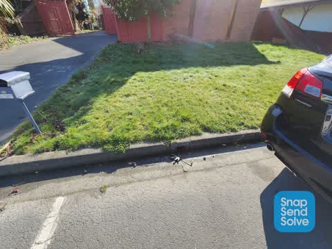 Water Leak, a report photo