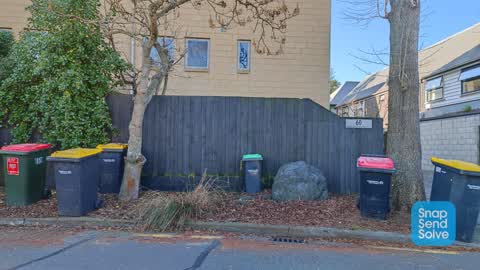 Rubbish and Bins - General, a report photo