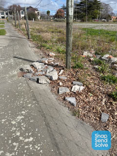 General Request — a report photo