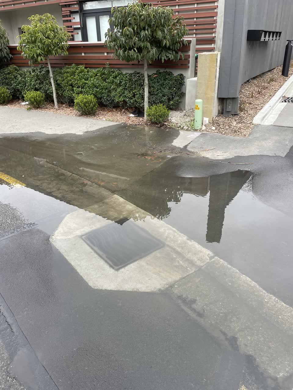 The photograph attached to this water leak report