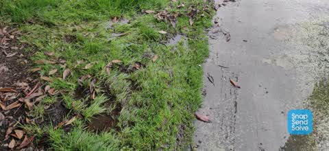 Street Gutters / Storm Water — a report photo