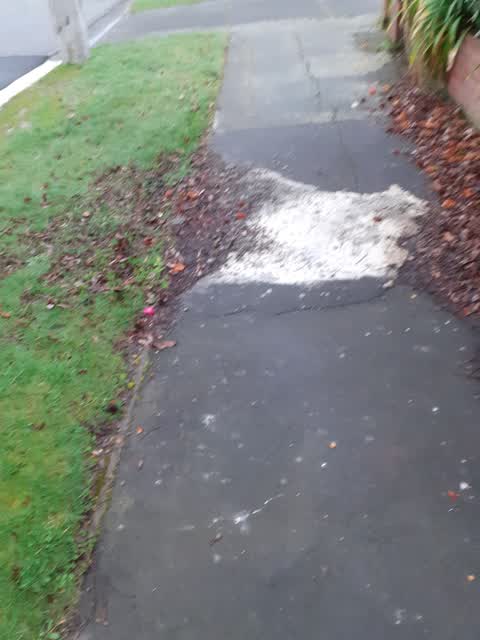 Pavement - Damaged, a report photo