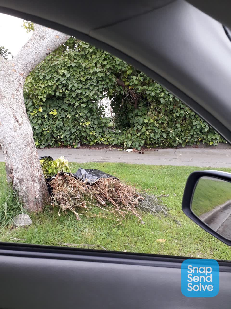 The photograph attached to this dumped rubbish report