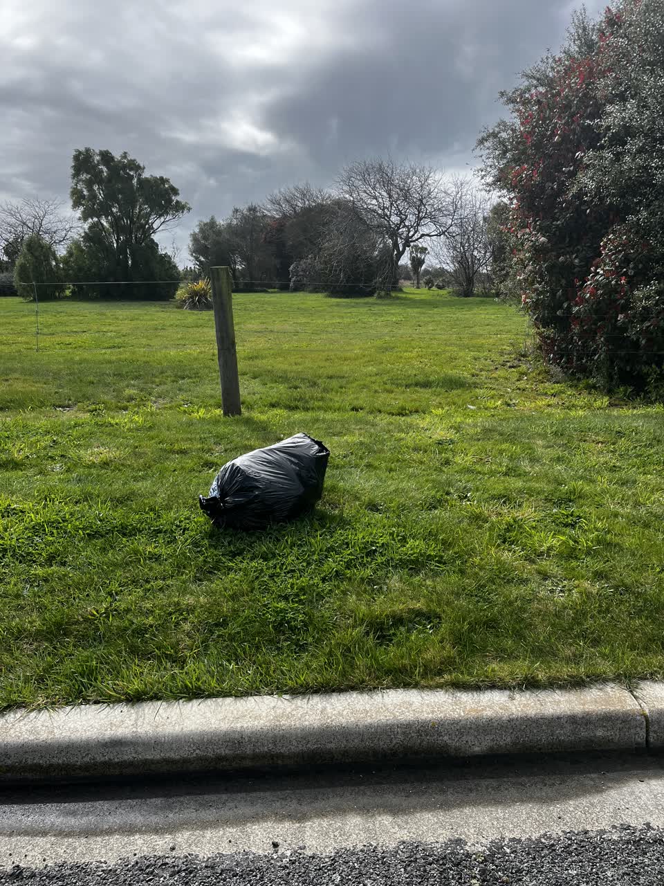 The photograph attached to this dumped rubbish report