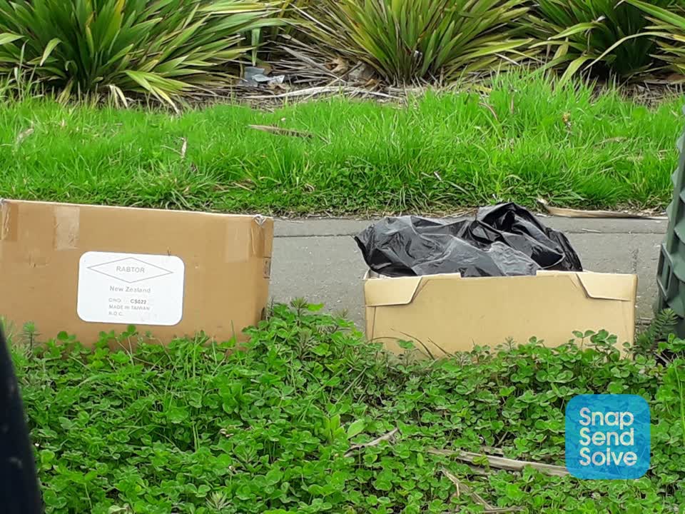The photograph attached to this dumped rubbish report