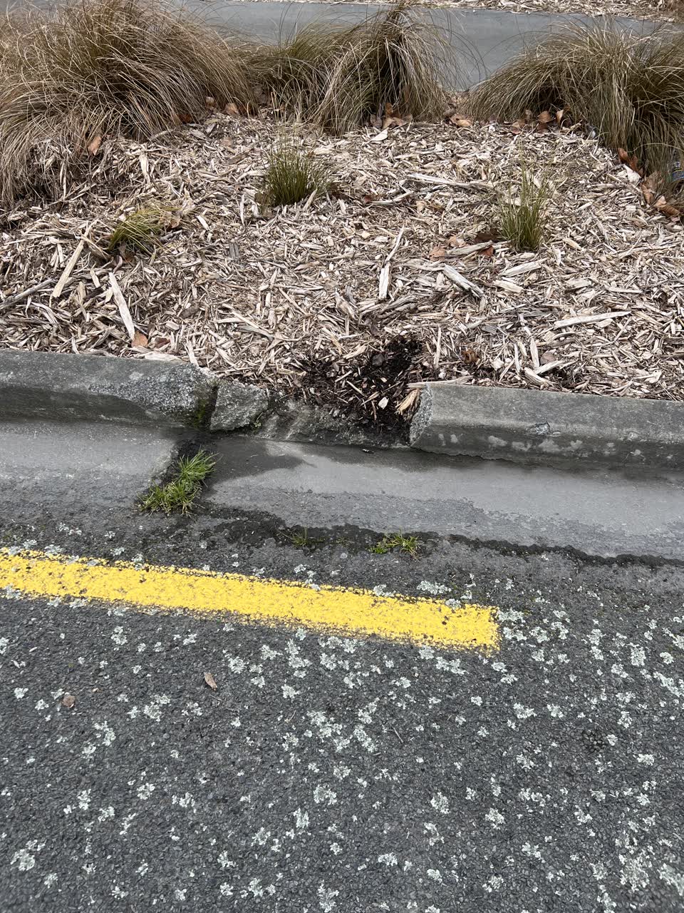 The photograph attached to this pavement - damaged report