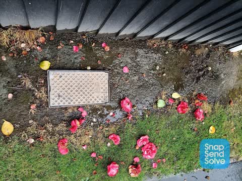 Water Leak, a report photo