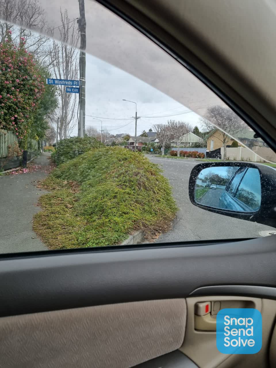 The photograph attached to this overgrown vegetation report