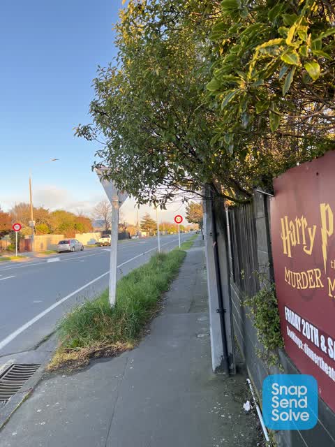 Overgrown Vegetation — a report photo