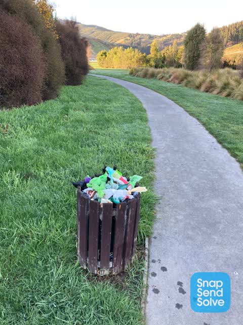 Rubbish and Bins - General — a report photo