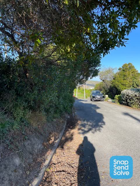 Overgrown Vegetation, a report photo