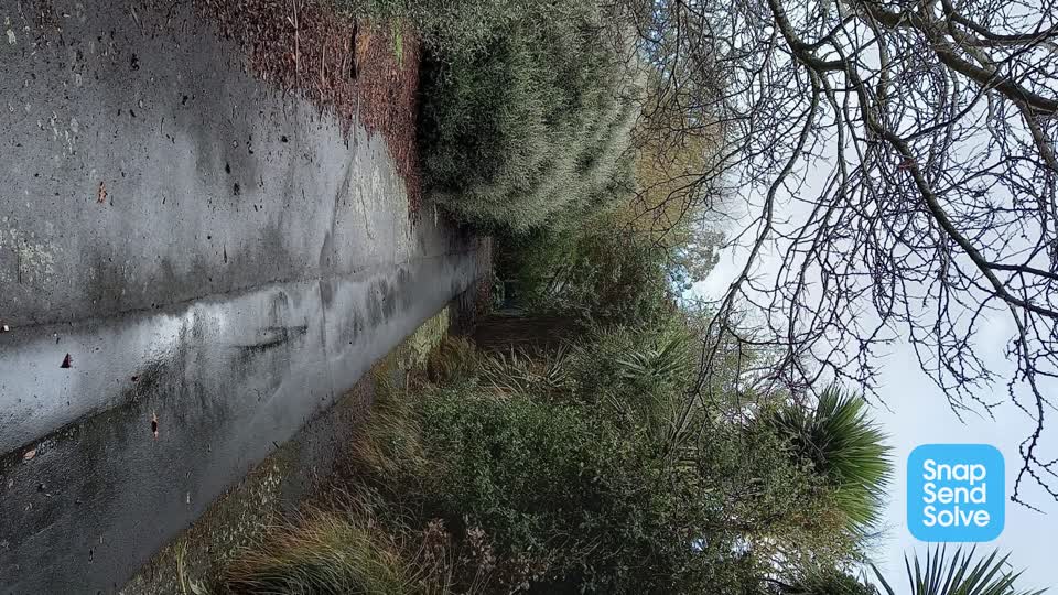 The photograph attached to this overgrown vegetation report
