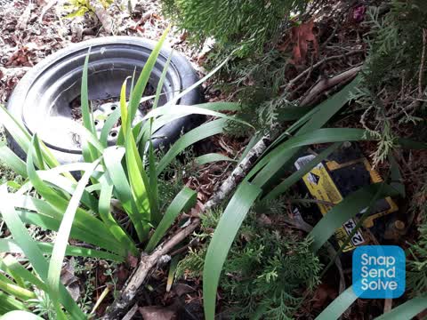 Dumped Rubbish, a report photo