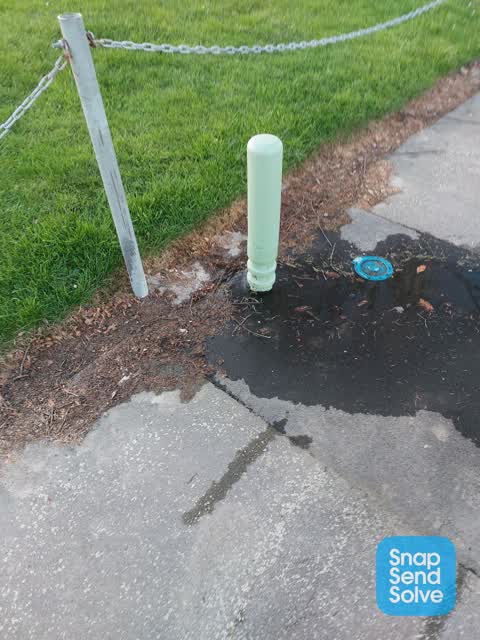 Water Leak, a report photo