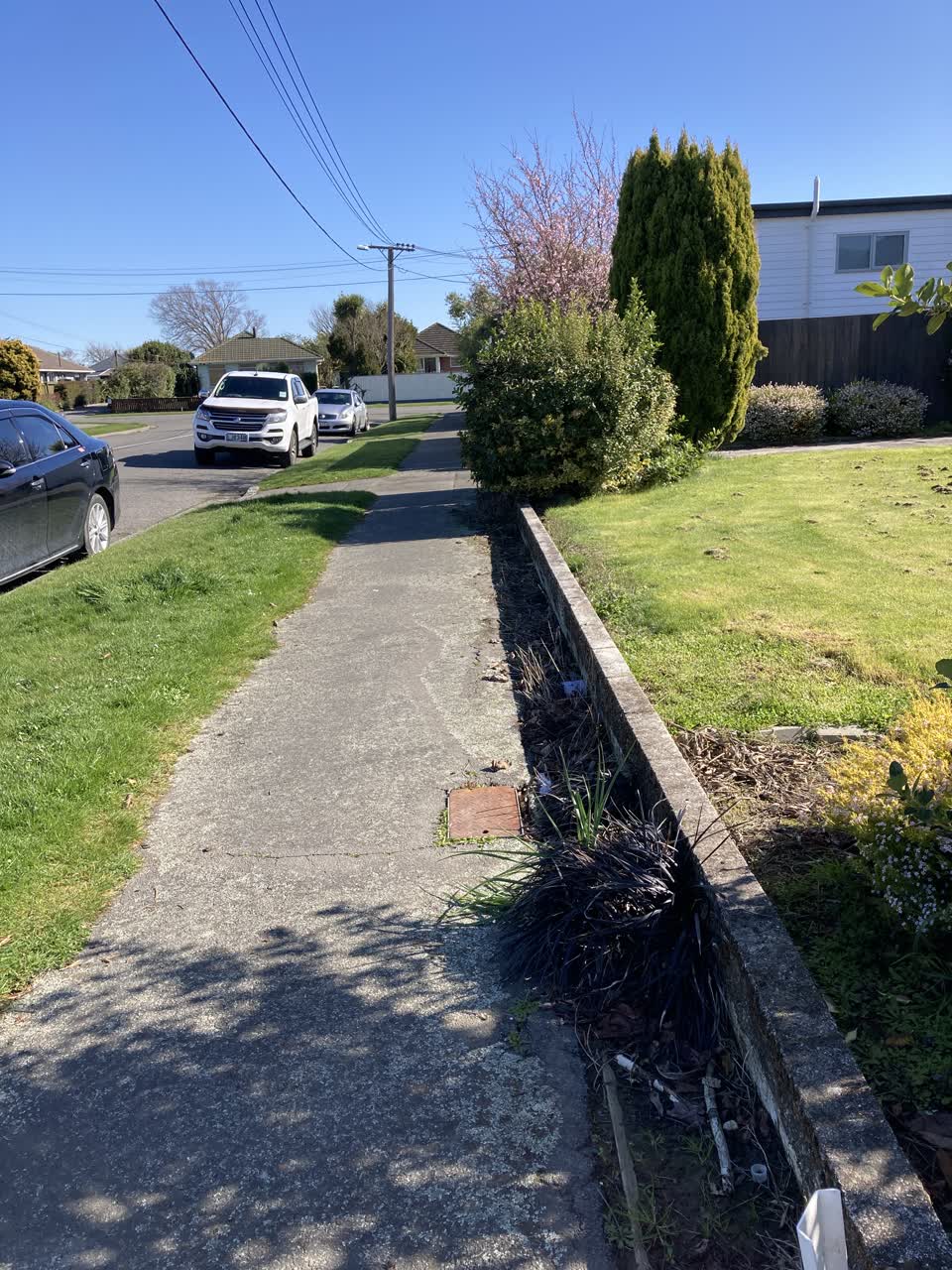 The photograph attached to this overgrown vegetation report