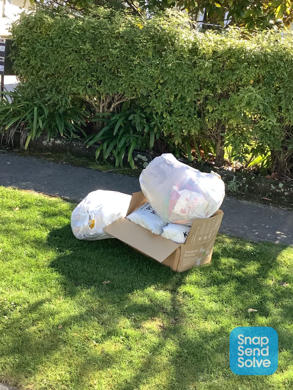 The photograph attached to this dumped rubbish report