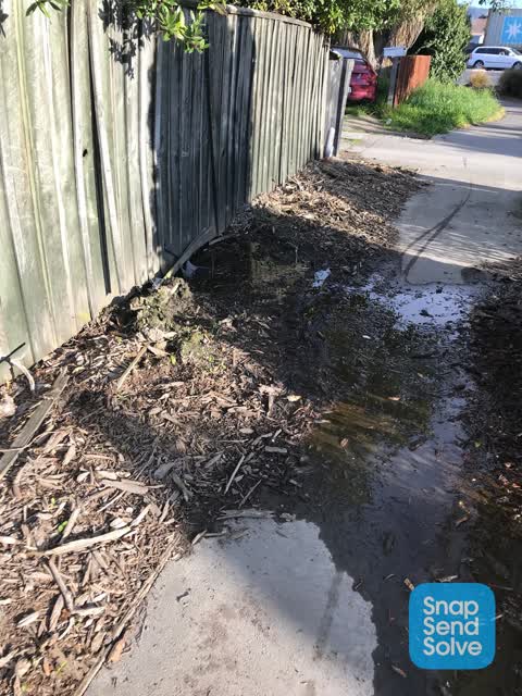 Water Leak, a report photo