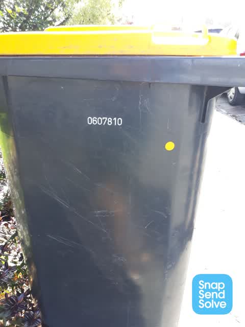 Rubbish and Bins - General, a report photo