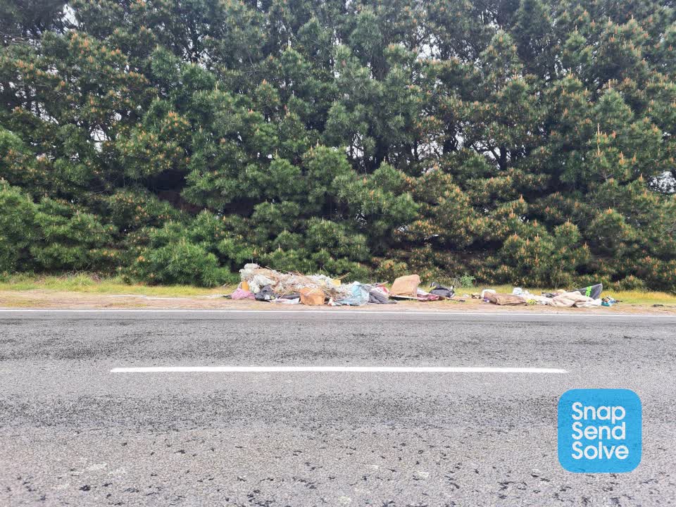 The photograph attached to this dumped rubbish report