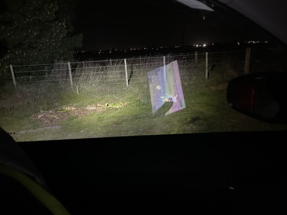 The photograph attached to this dumped rubbish report