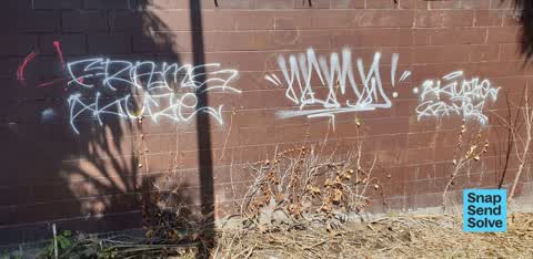 Graffiti — a report photo