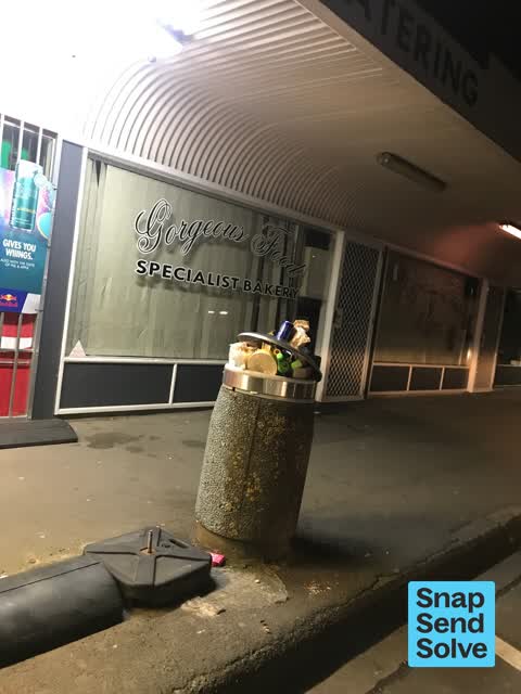 Rubbish and Bins - General, a report photo