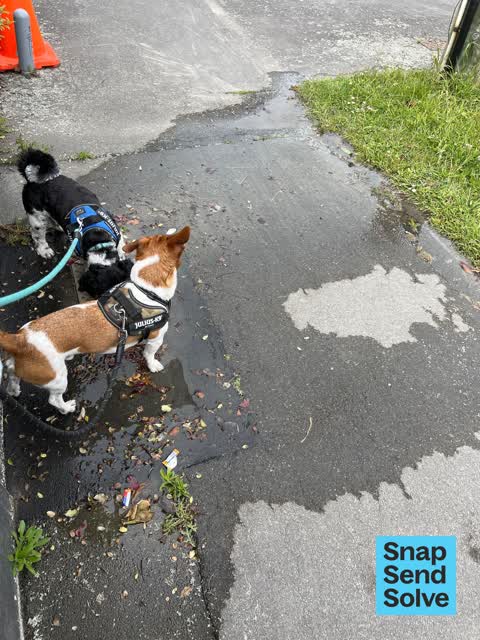 Water Leak, a report photo
