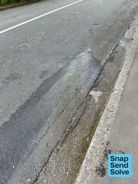 Water Leak, a report photo