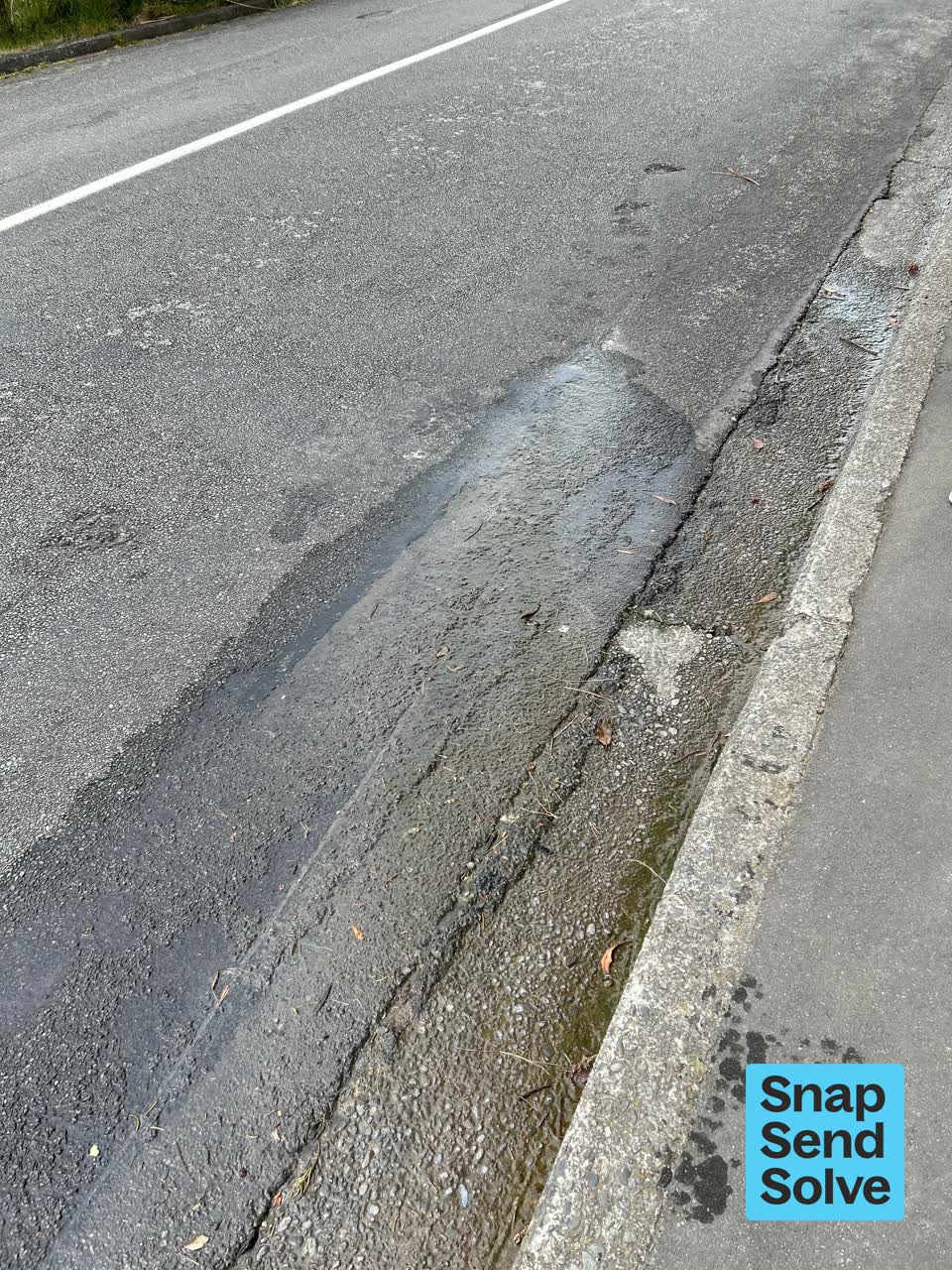 The photograph attached to this water leak report