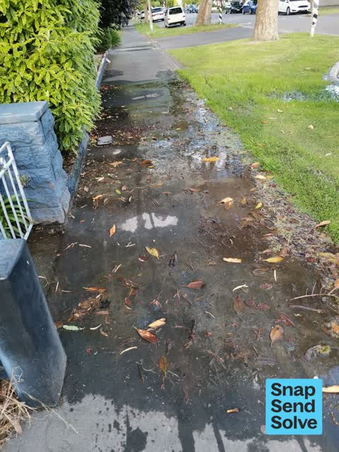 Water Leak, a report photo