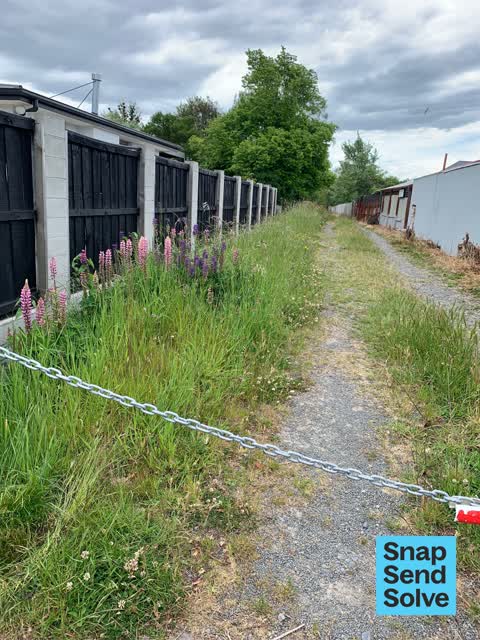 General Request, a report photo