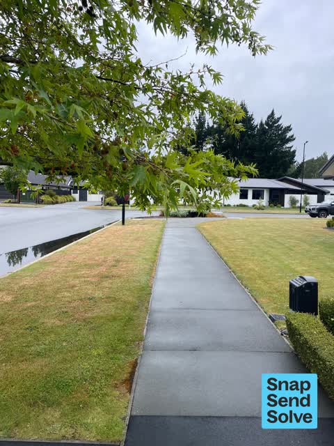 Overgrown Vegetation, a report photo