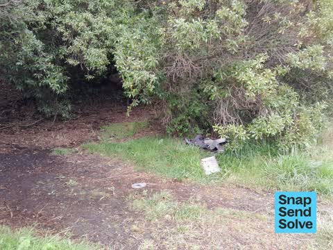 Park - General Request — a report photo