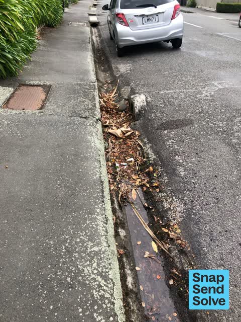 Street Cleaning, a report photo