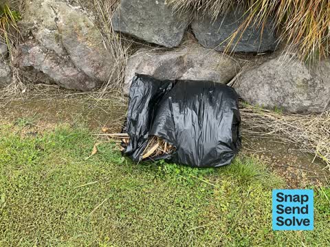Rubbish and Bins - General, a report photo