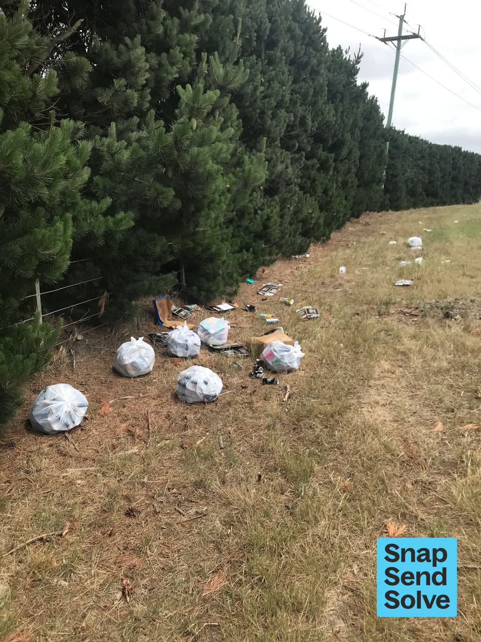The photograph attached to this dumped rubbish report