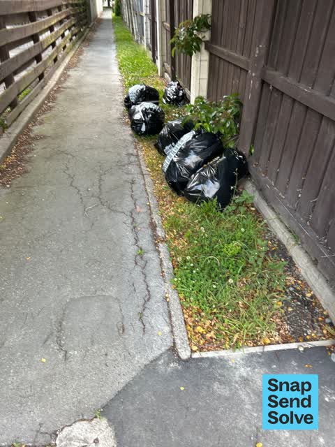 Dumped Rubbish — a report photo