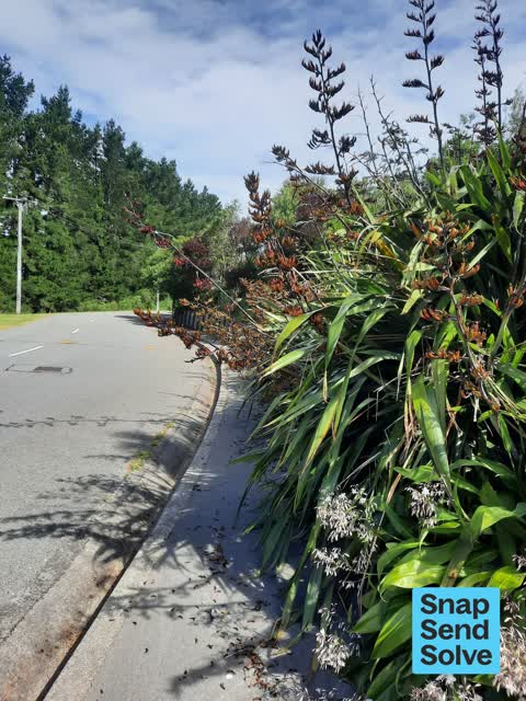 Roads - General, a report photo