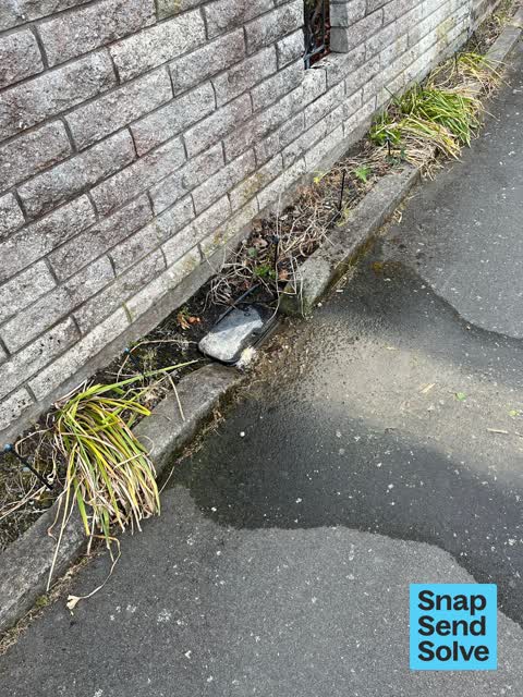 Water Leak, a report photo
