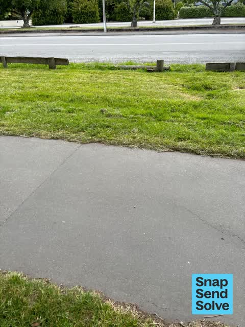 General Request, a report photo
