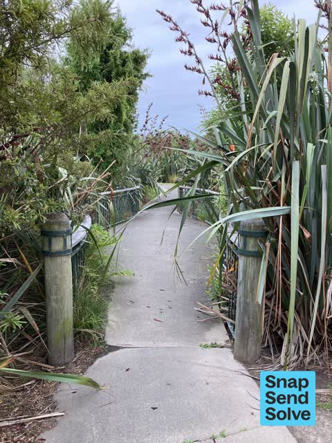 Overgrown Vegetation, a report photo