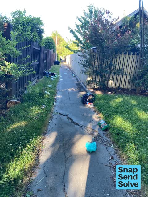 Dumped Rubbish, a report photo