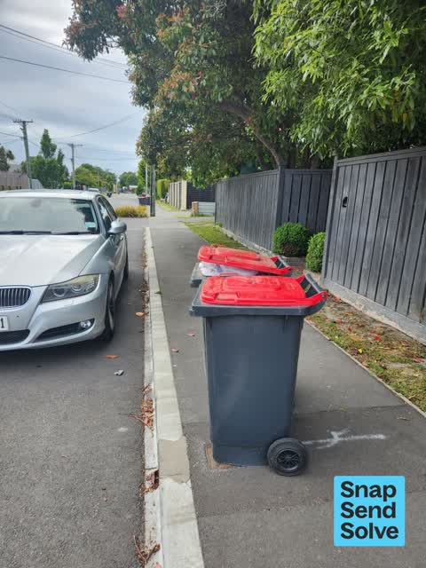 Rubbish and Bins - General, a report photo