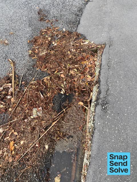 Street Gutters / Storm Water, a report photo