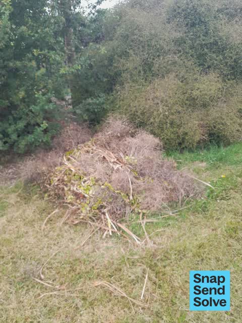 Park - General Request, a report photo