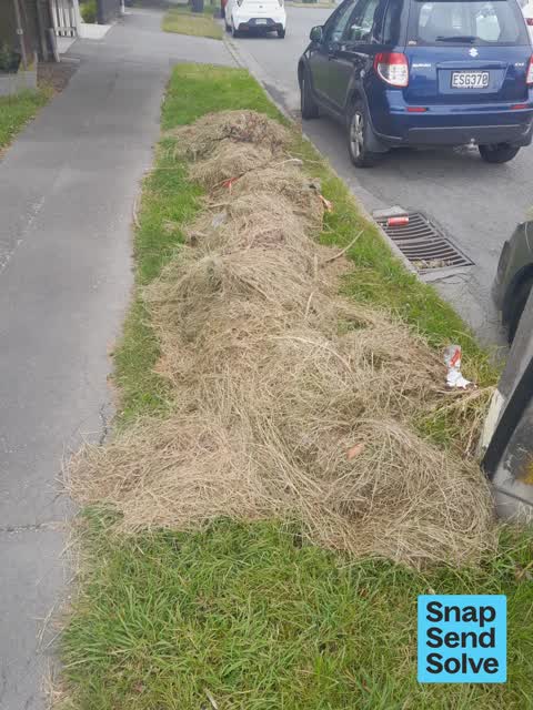 Dumped Rubbish, a report photo