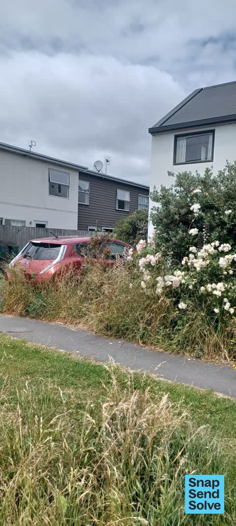 Overgrown Vegetation, a report photo