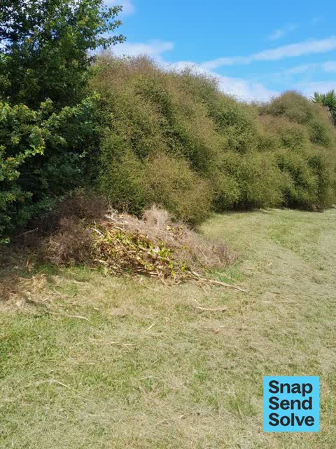 Dumped Rubbish, a report photo
